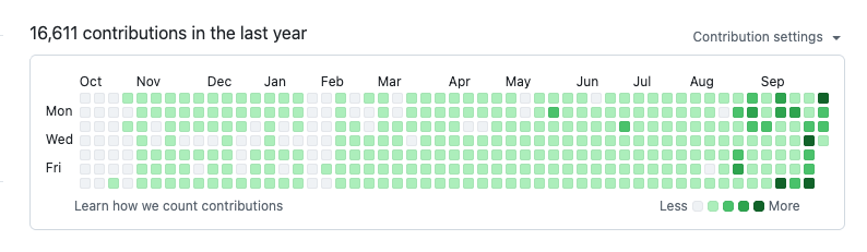 지난 1년간의 GitHub 기록(16,611 contributions)